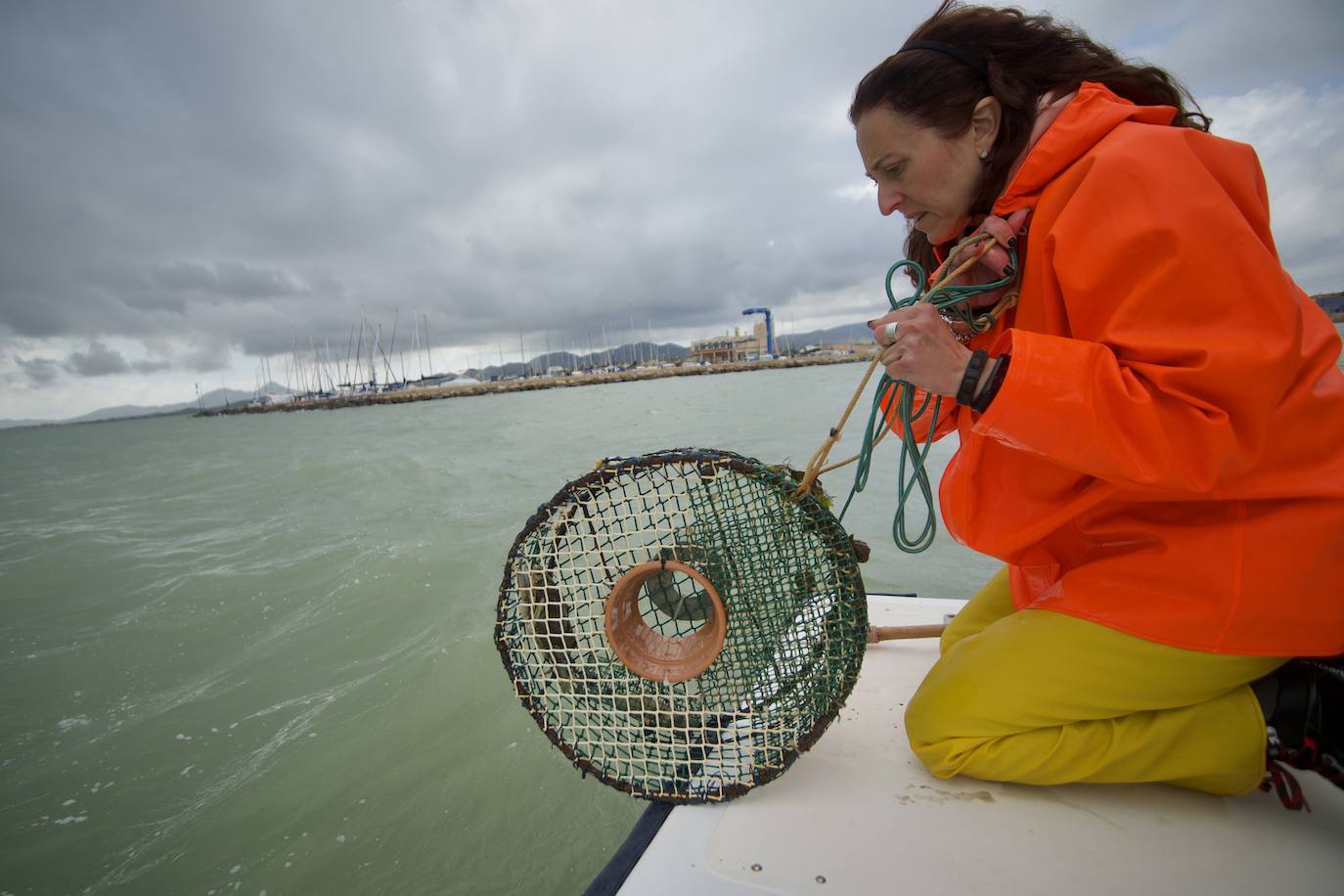 Fotos: Pesca y estudio del cangrejo azul, la especie invasora más temida en el Mar Menor