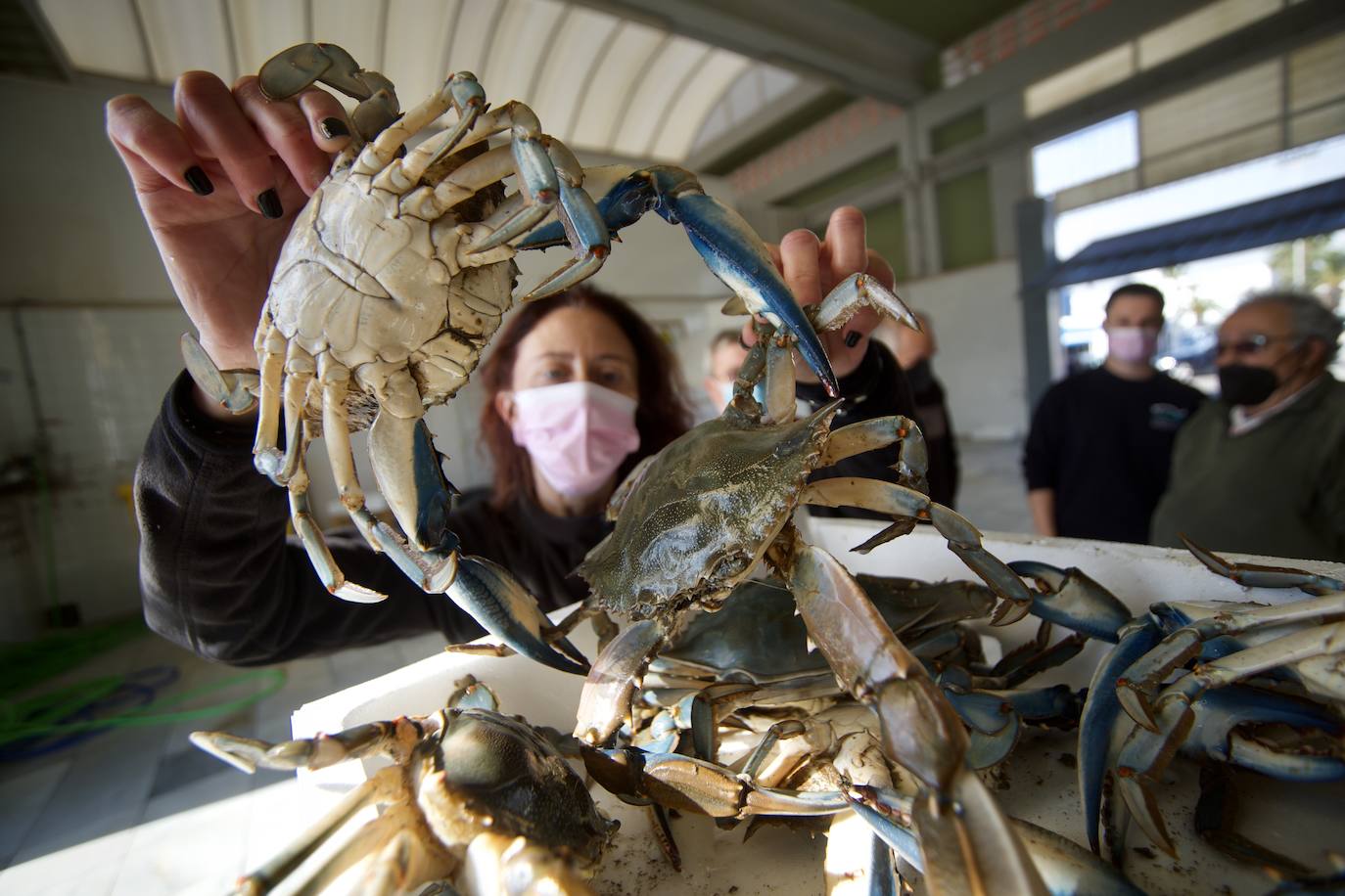 Fotos: Pesca y estudio del cangrejo azul, la especie invasora más temida en el Mar Menor