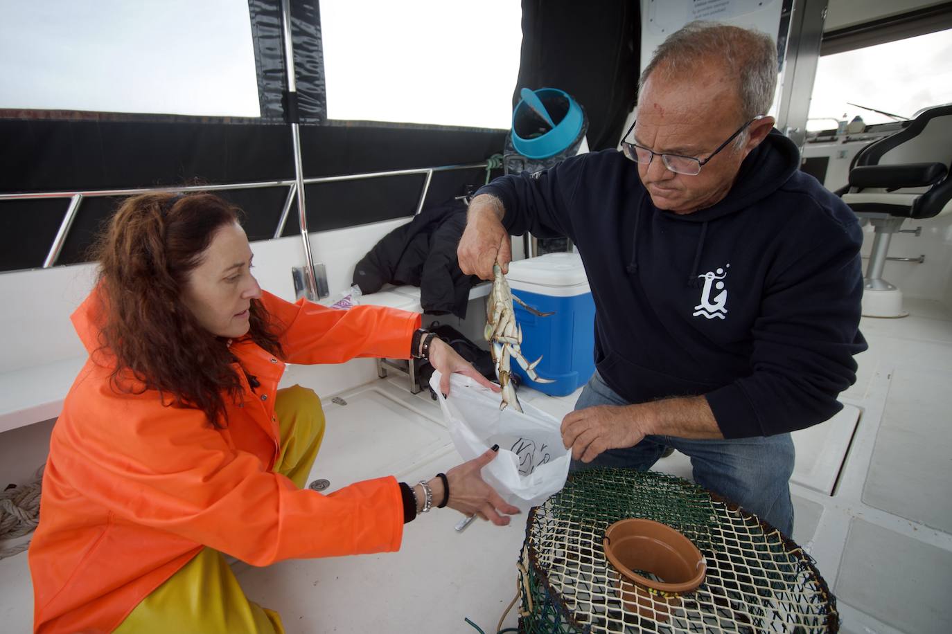 Fotos: Pesca y estudio del cangrejo azul, la especie invasora más temida en el Mar Menor