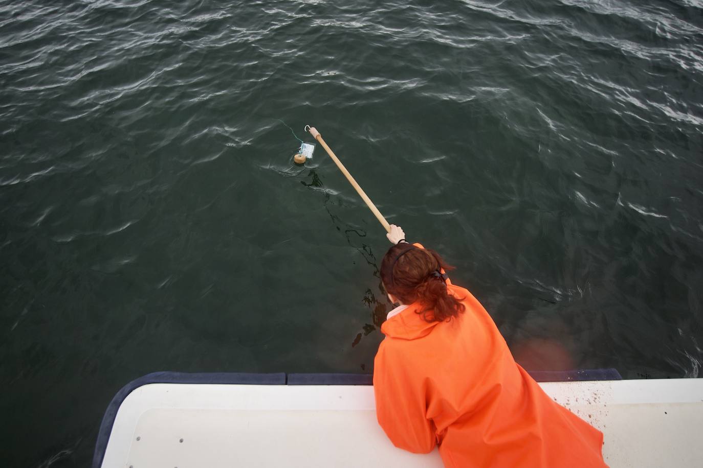 Fotos: Pesca y estudio del cangrejo azul, la especie invasora más temida en el Mar Menor