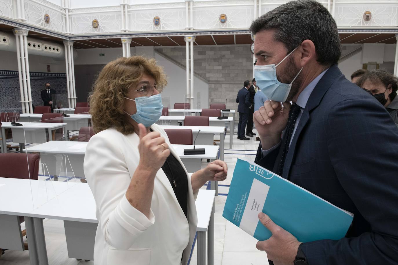 Fotos: Pleno en la Asamblea Regional