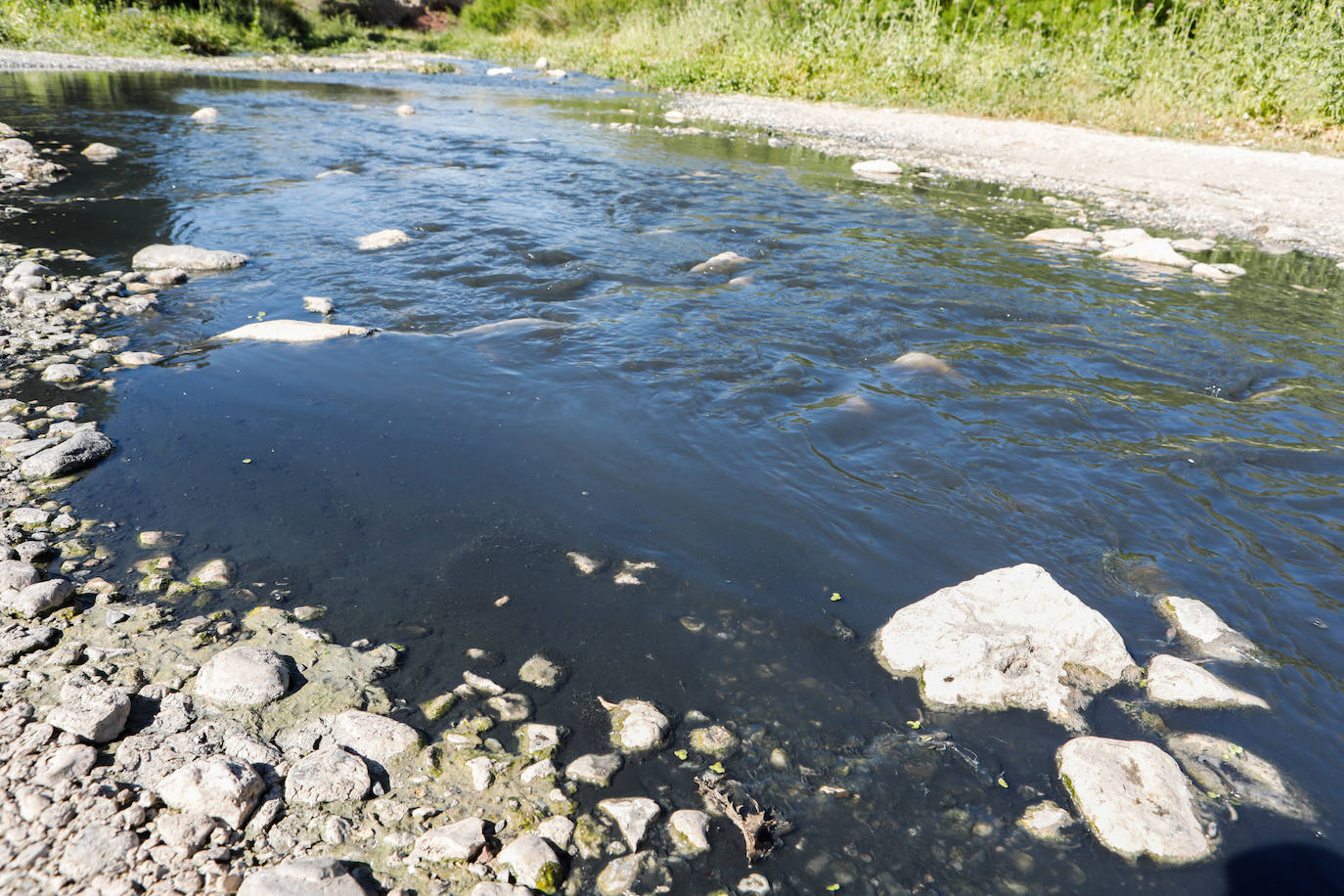 Fotos: El río Vélez, una cloaca a cielo abierto