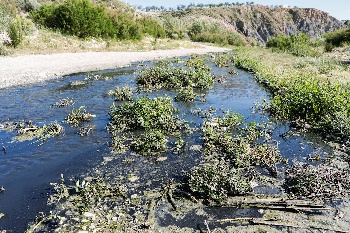 Fotos: El río Vélez, una cloaca a cielo abierto