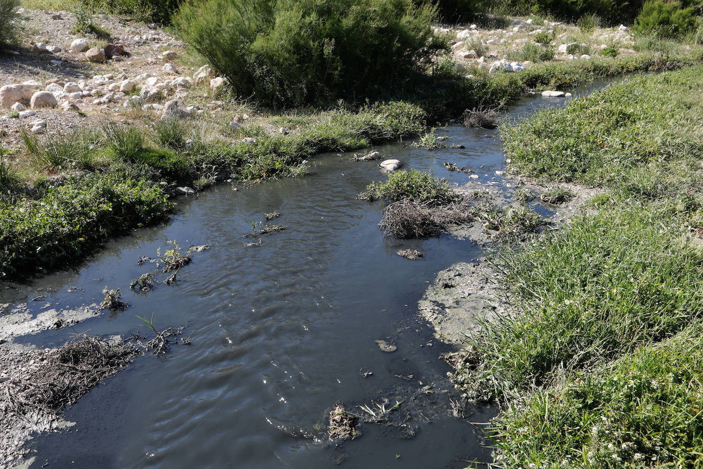 Fotos: El río Vélez, una cloaca a cielo abierto