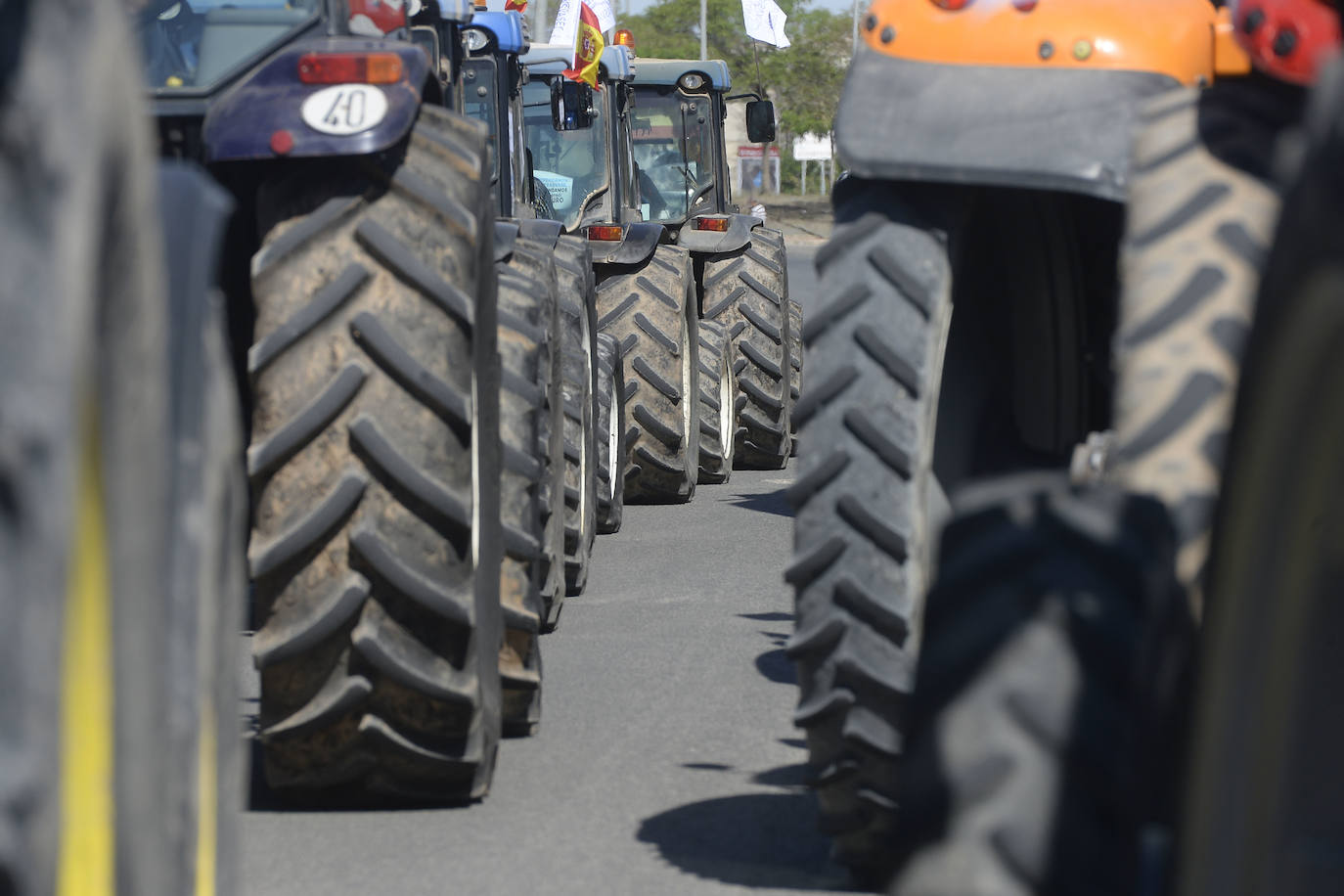 Fotos: Tractorada en favor del Trasvase llevada a cabo en Alcantarilla