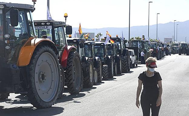 Galería. Caravana de tractores en Alcantarilla.