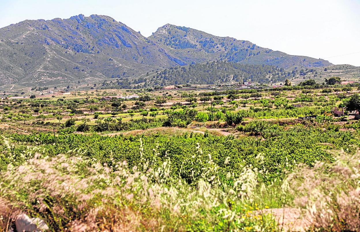 Cultivos de secano entre Molinos Marfagones y Canteras. 
