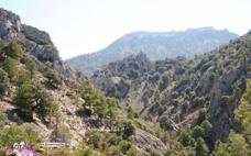 Pastizales y juncales de arroyo Blanco