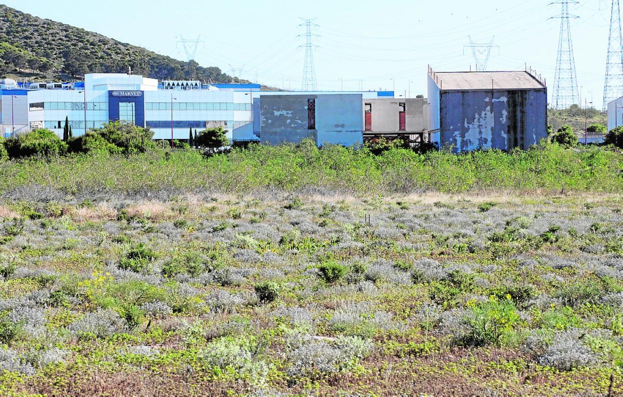 Terrenos donde será construido el centro de formación y al fondo el edificio de Contentpolis. 