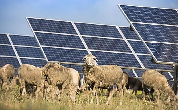 Imagen promocional de Carril Solar (Puerto Lumbreras).