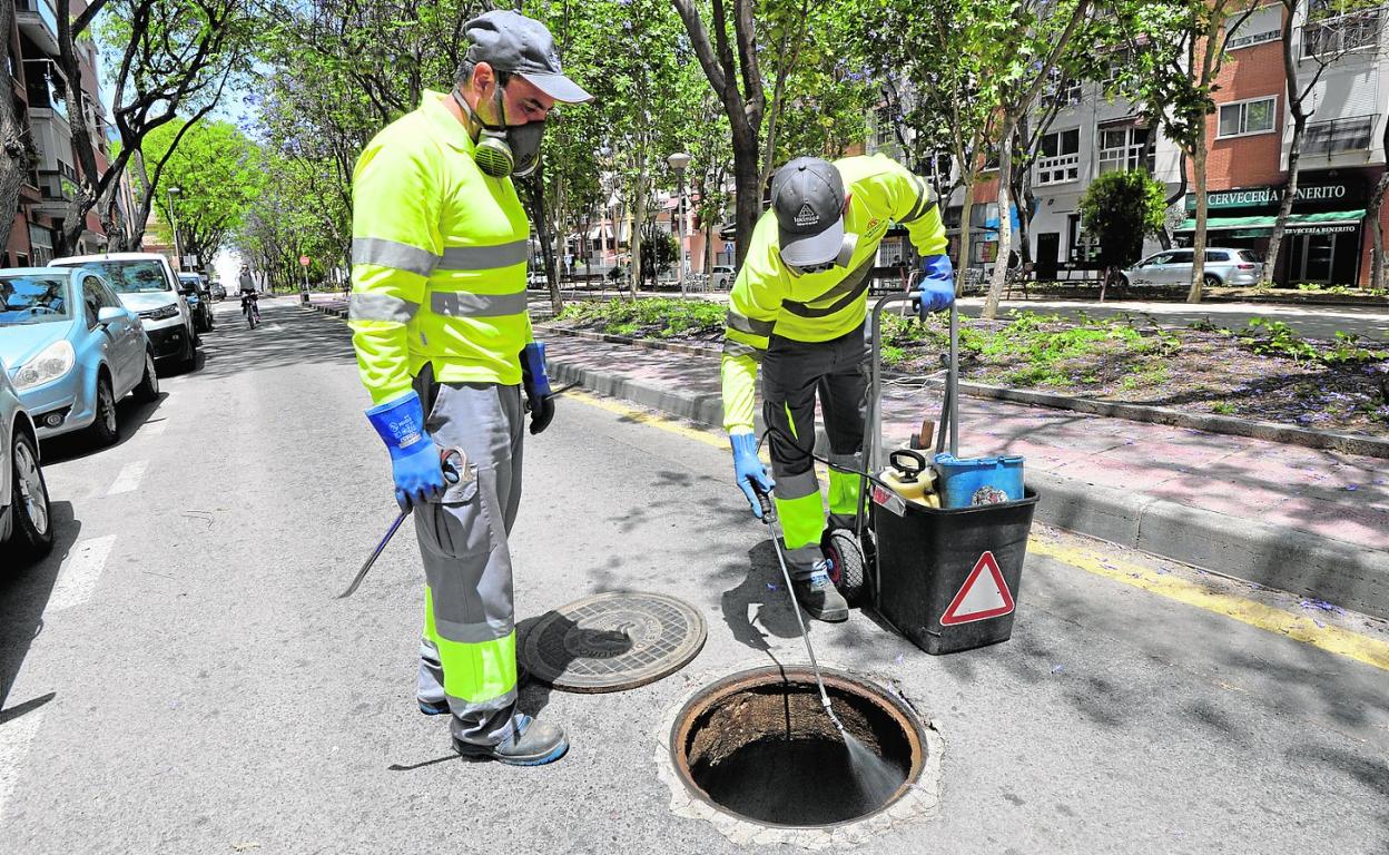 Dos técnicos fumigan en El Ranero en las tapas de alcantarilla y en los imbornales para frenar la proliferación de los mosquitos. 
