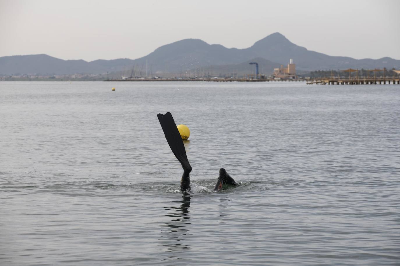 Fotos: Limpieza de residuos en el fondo del Mar Menor