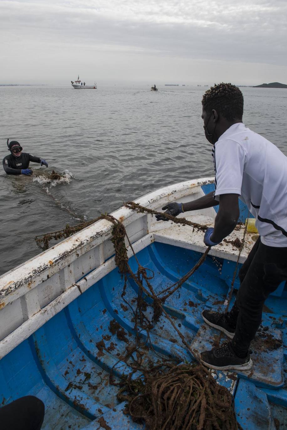 Fotos: Limpieza de residuos en el fondo del Mar Menor