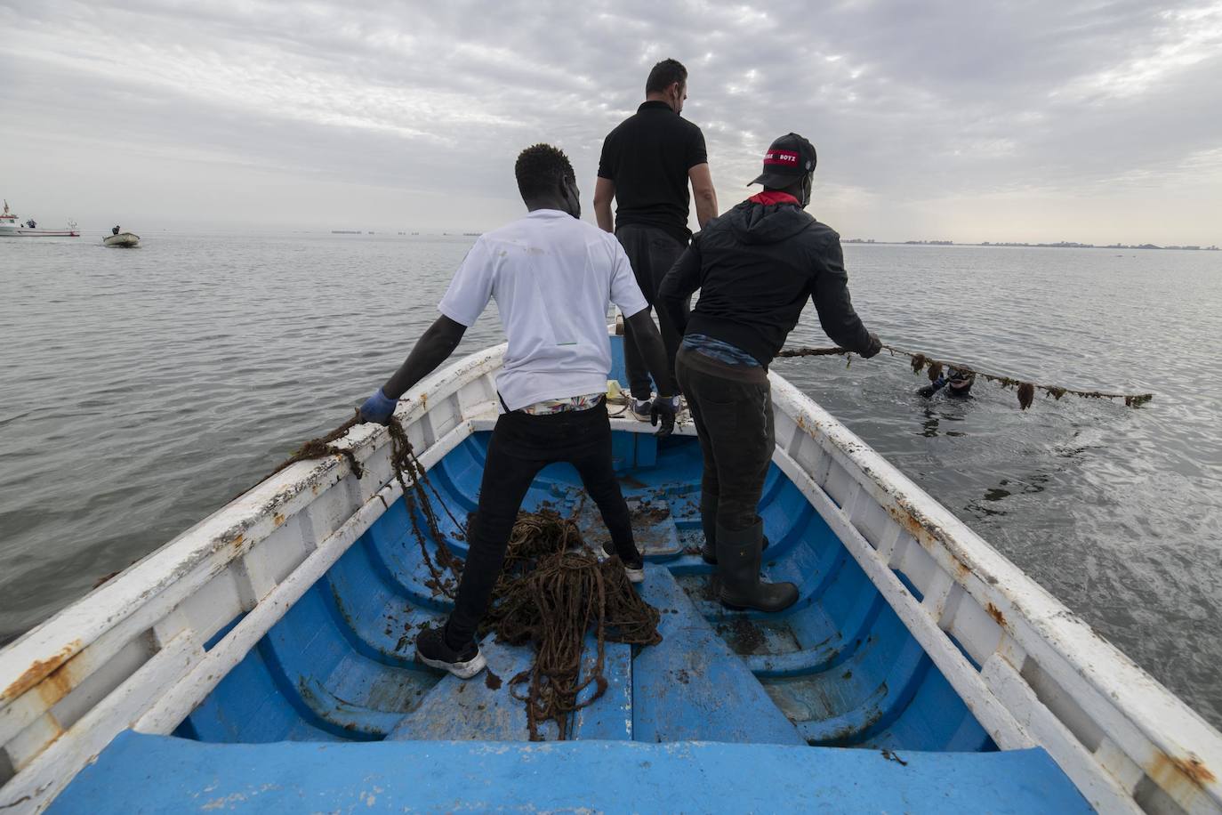 Fotos: Limpieza de residuos en el fondo del Mar Menor