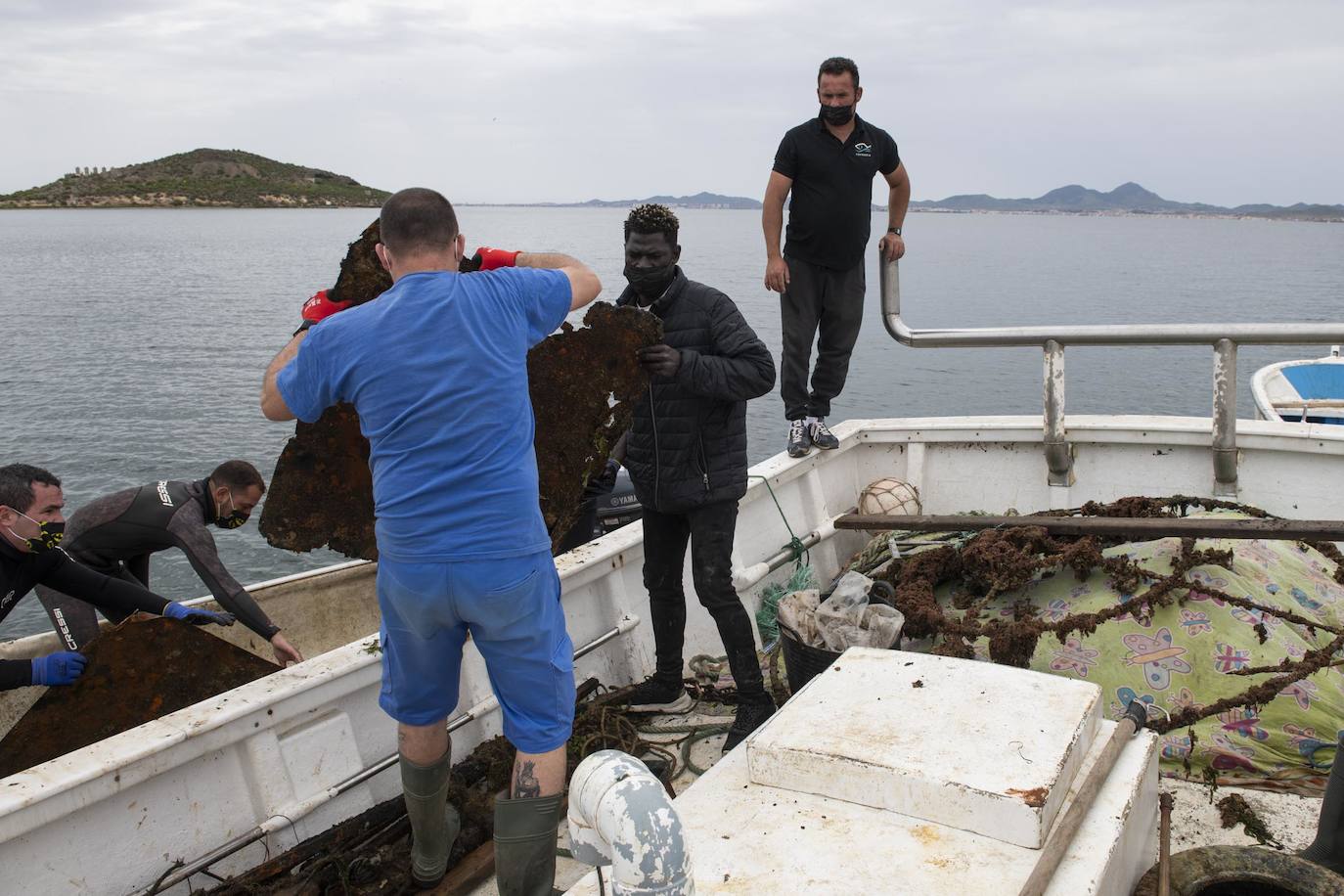 Fotos: Limpieza de residuos en el fondo del Mar Menor