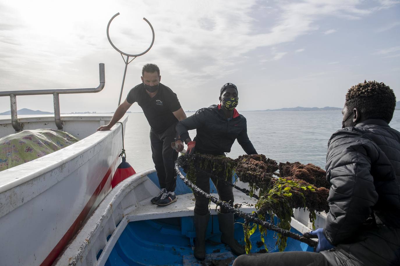 Fotos: Limpieza de residuos en el fondo del Mar Menor