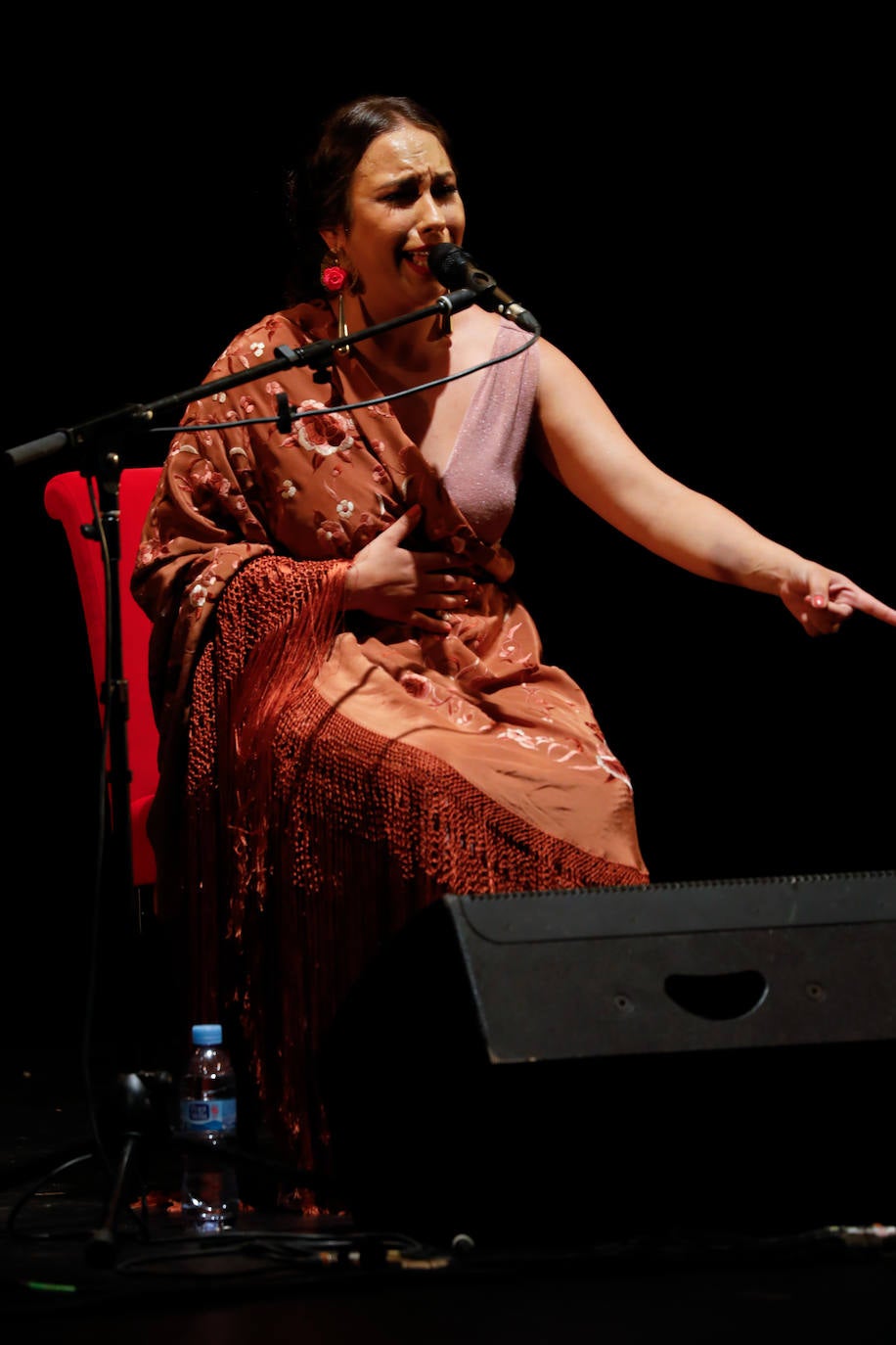 Fotos: La Cumbre Flamenca de Murcia, en imágenes