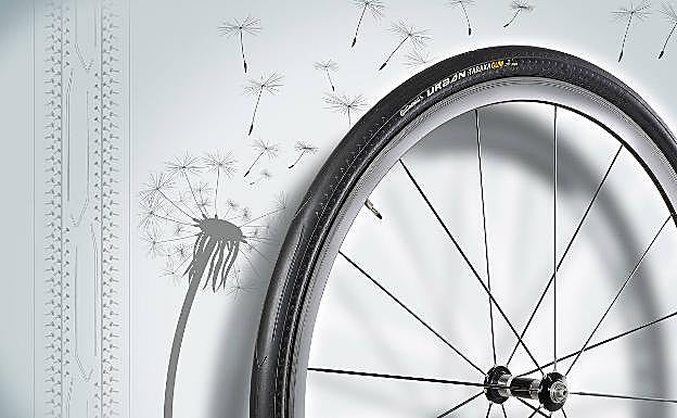 Continental Urban TaraxaGum