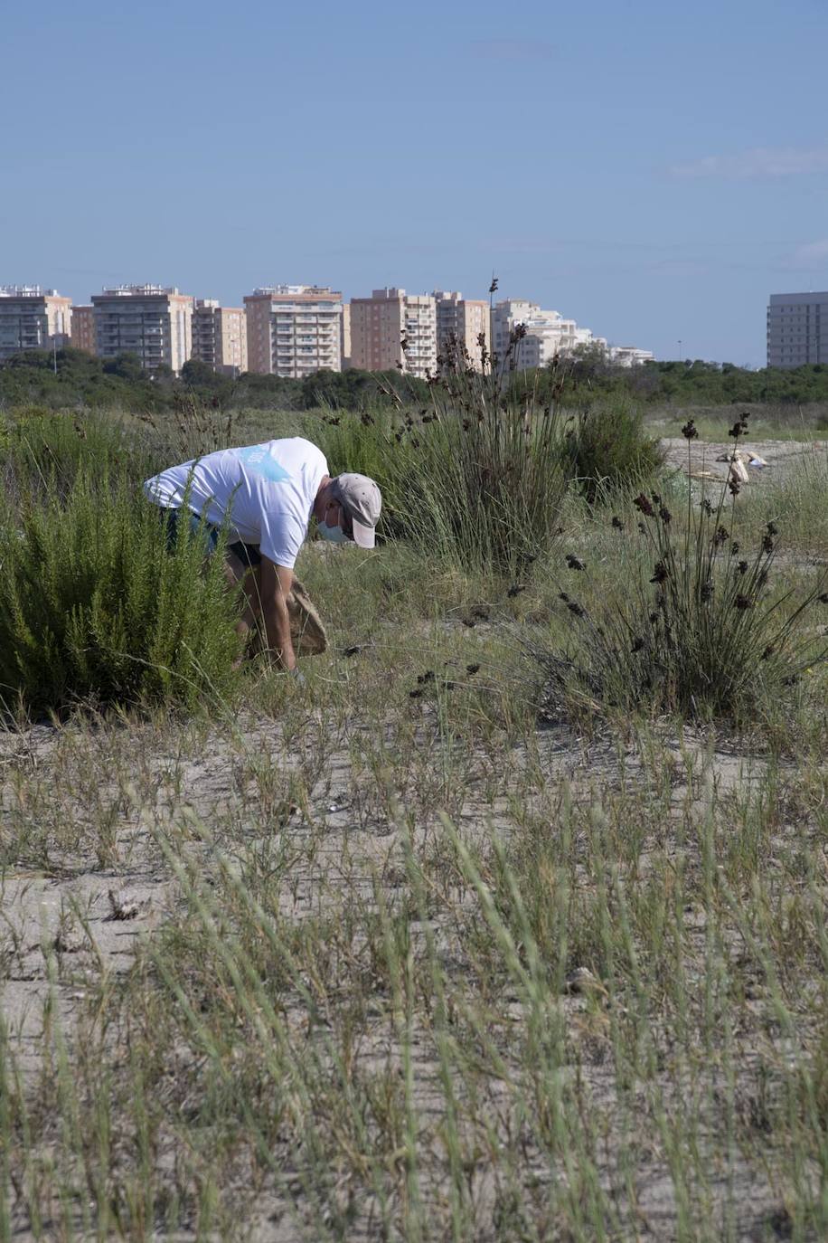 Fotos: Los voluntarios retiran 260 kilos de basura del Estacio