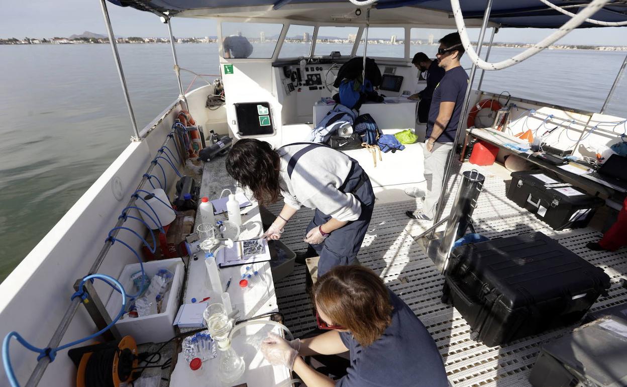 Un equipo científico recoge muestras del Mar Menor para monitorizar su estado.