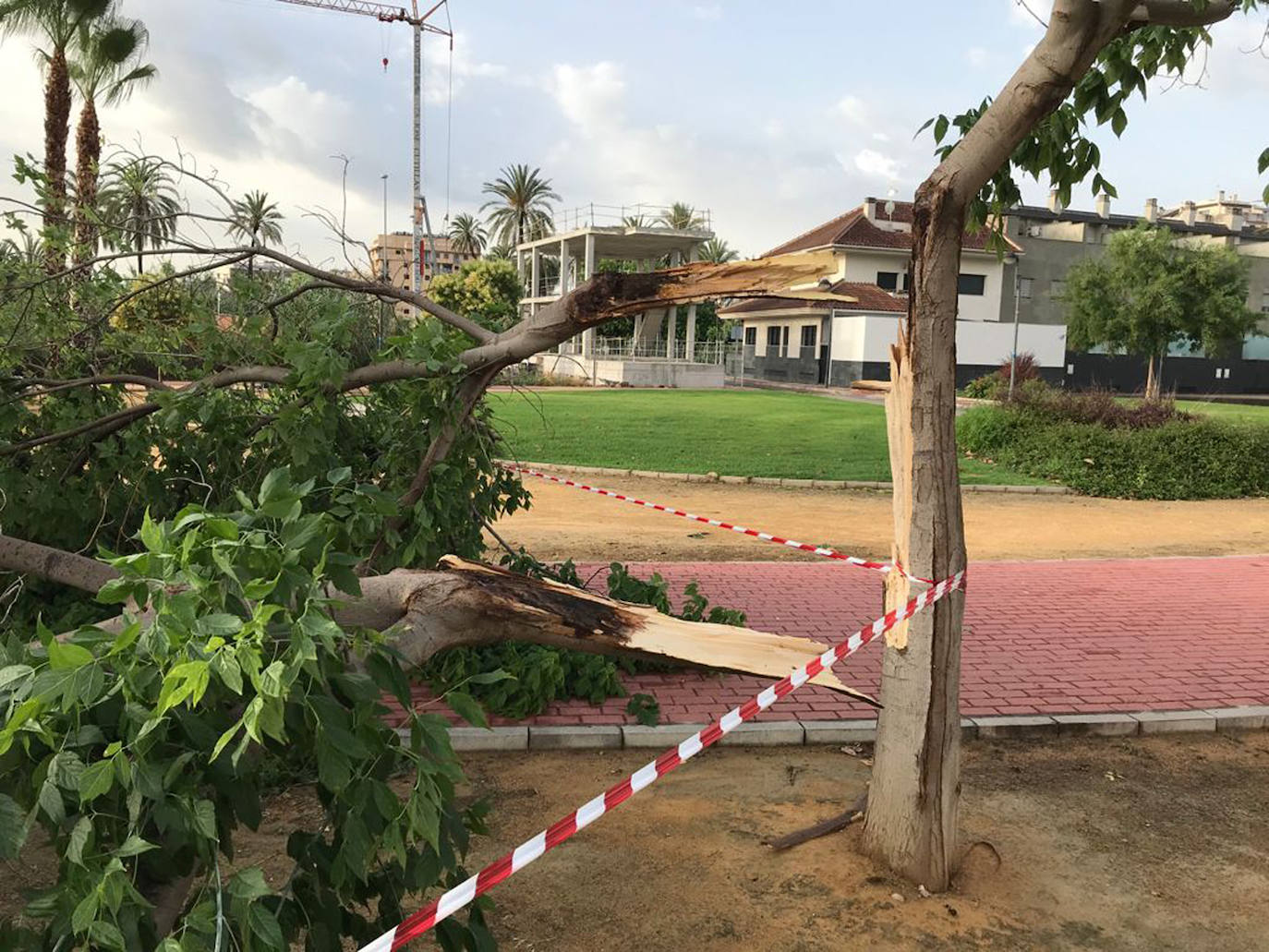 Fotos: Las consecuencias de las fuertes lluvias en la Región