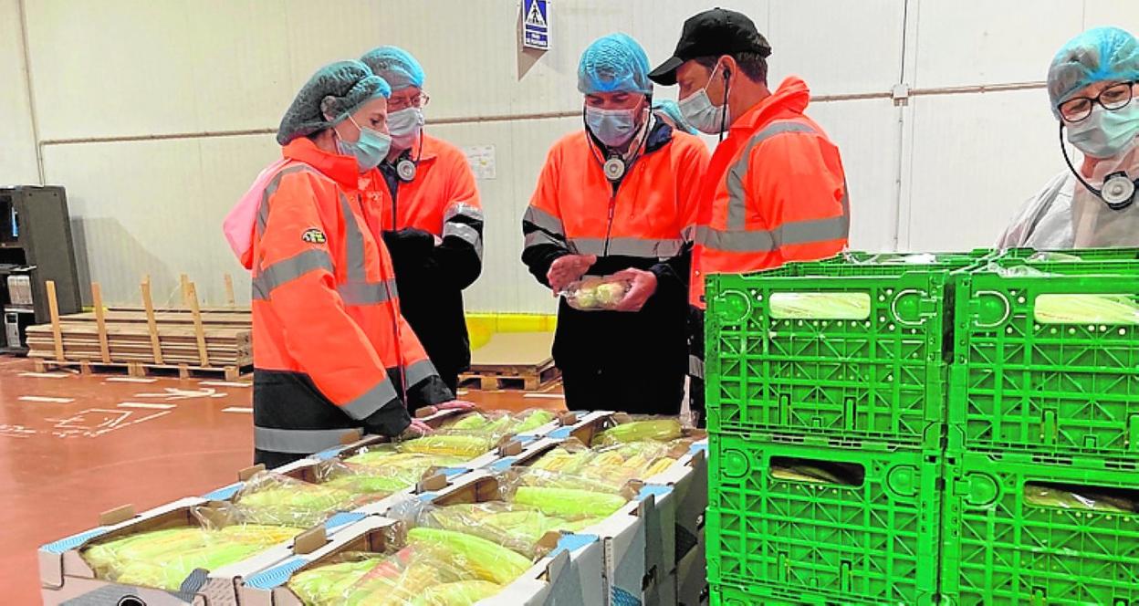 El consejero Luengo durante su visita a la empresa Agromediterránea. 