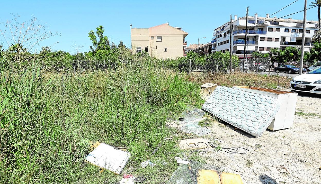 Vegetación y desechos inflamables al lado de una zona de viviendas nuevas situadas junto a la avenida Reino de Valencia de Murcia. 