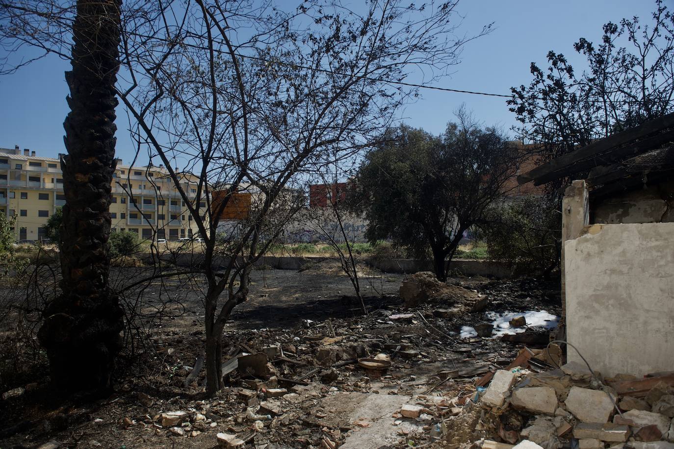 Fotos: Incendio en un huerto abandonado de Barriomar