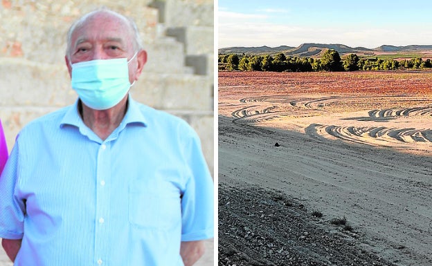 Sinforiano Montes, alcalde de Montealegre del Castillo, junto a los terrenos donde está previsto instalar la granja porcina. 