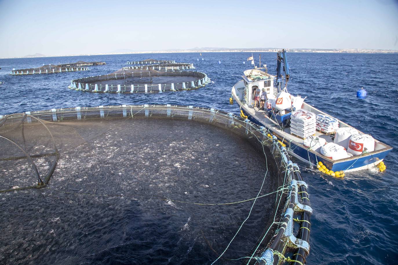 Fotos: Viveros marinos de doradas y lubinas en San Pedro