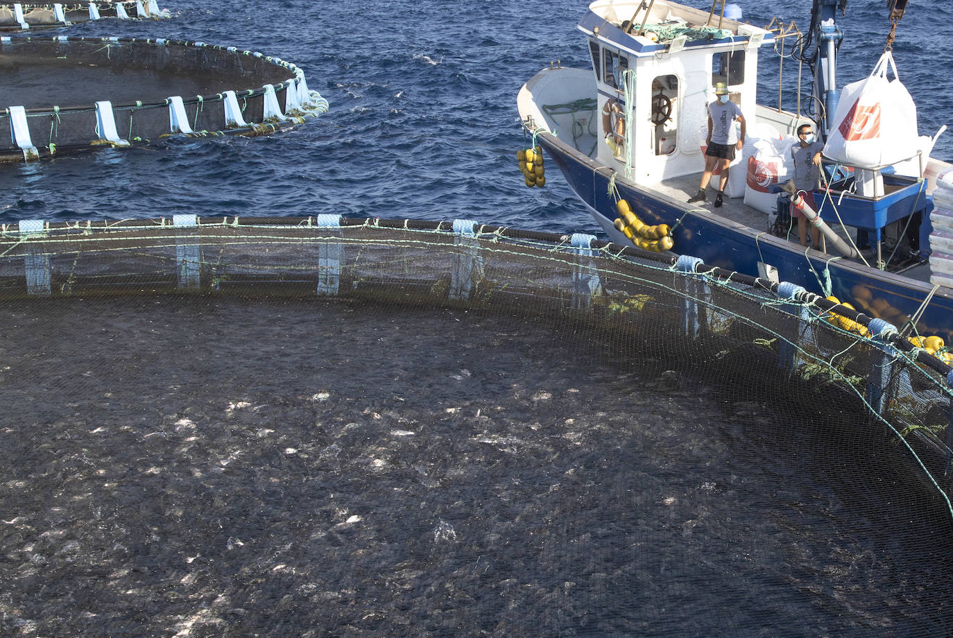 Fotos: Viveros marinos de doradas y lubinas en San Pedro