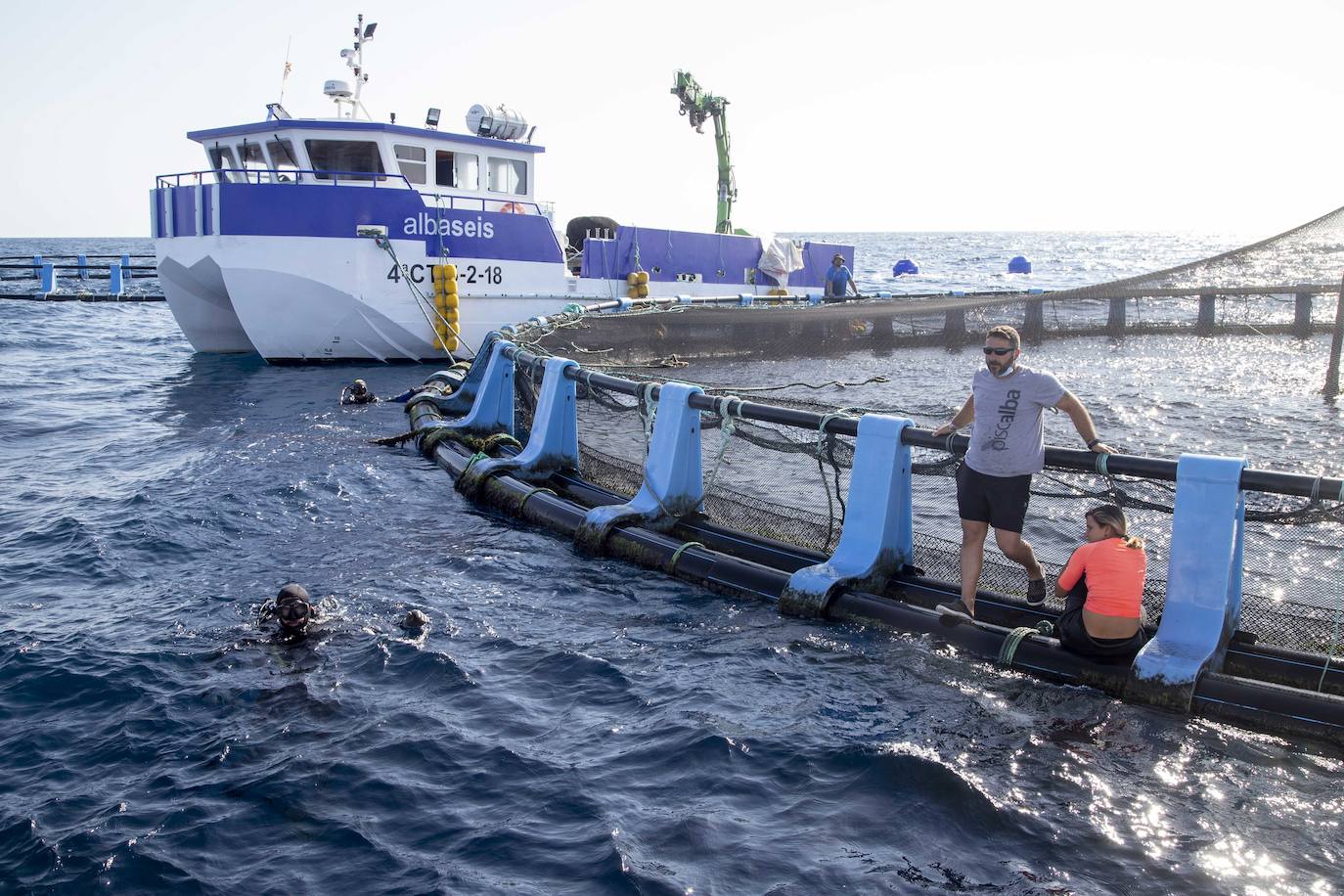 Fotos: Viveros marinos de doradas y lubinas en San Pedro