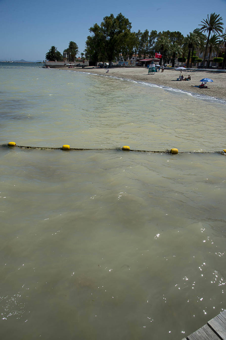 Fotos: La rotura de una tubería en San Javier provoca un vertido de agua dulce al Mar Menor