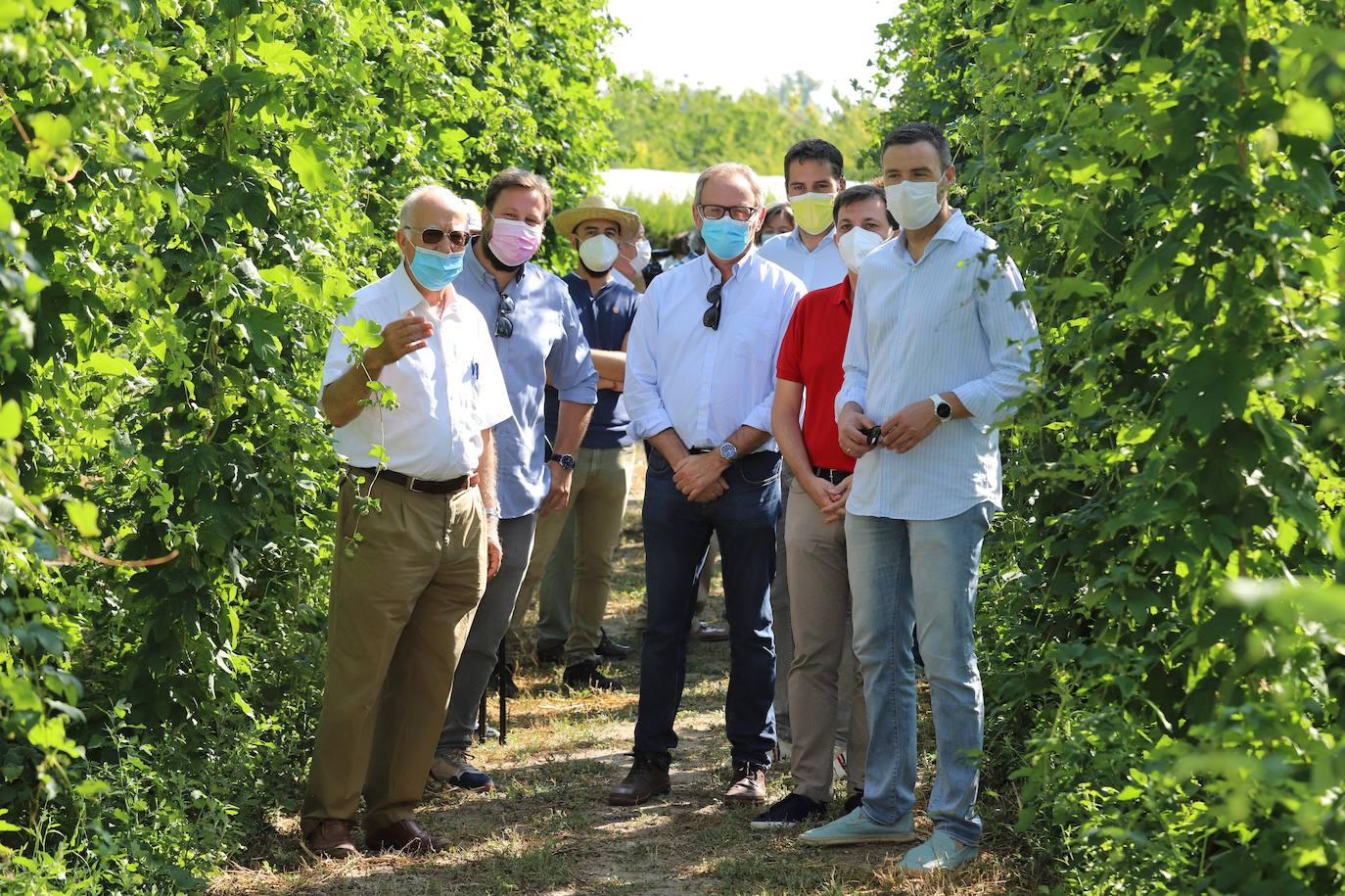 Pedro Marín, José Francisco García y Francisco Marín visitaron una de las fincas de cultivo experimental junto a técnicos y agricultores 