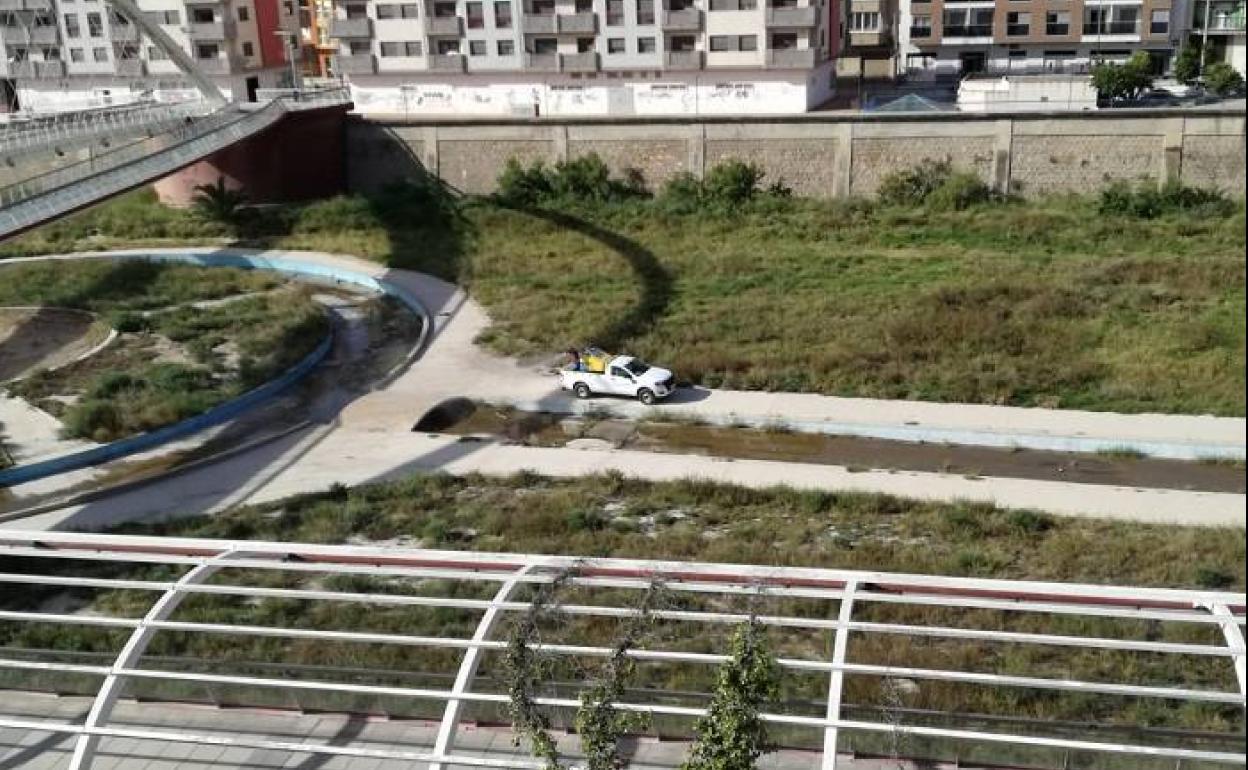 Puesta en marcha de los tratamientos contra la proliferación de mosquitos en Lorca.