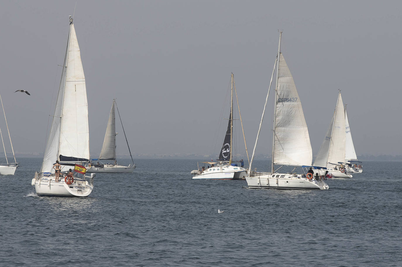 Fotos: Medio centenar de veleros salen a navegar unidos en defensa de una voz propia para el Mar Menor