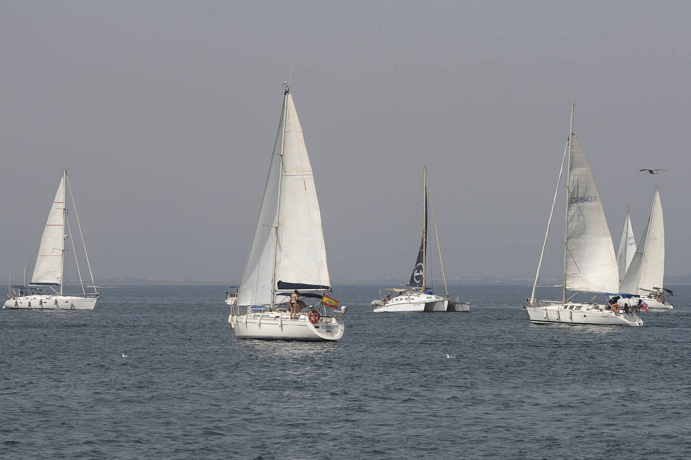 Fotos: Medio centenar de veleros salen a navegar unidos en defensa de una voz propia para el Mar Menor