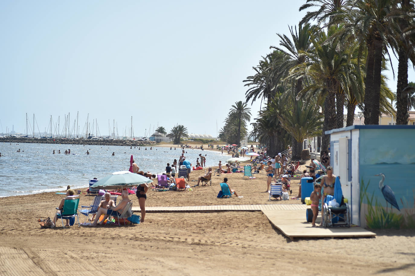 Fotos: Vecinos y turistas, «de luto» por la crisis del Mar Menor