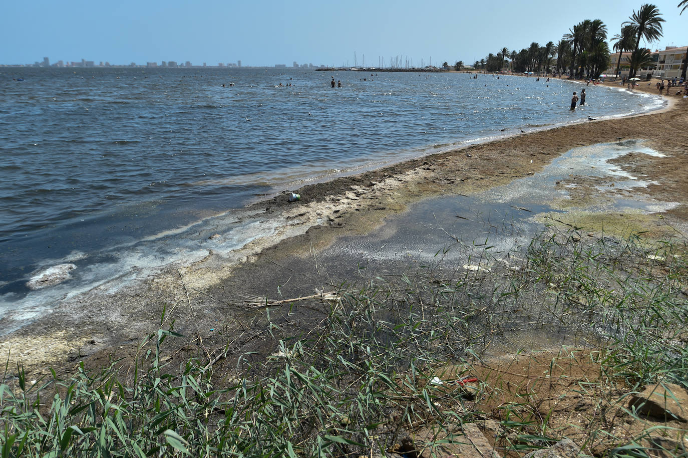 Fotos: Vecinos y turistas, «de luto» por la crisis del Mar Menor