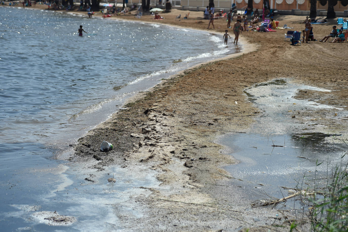Fotos: Vecinos y turistas, «de luto» por la crisis del Mar Menor
