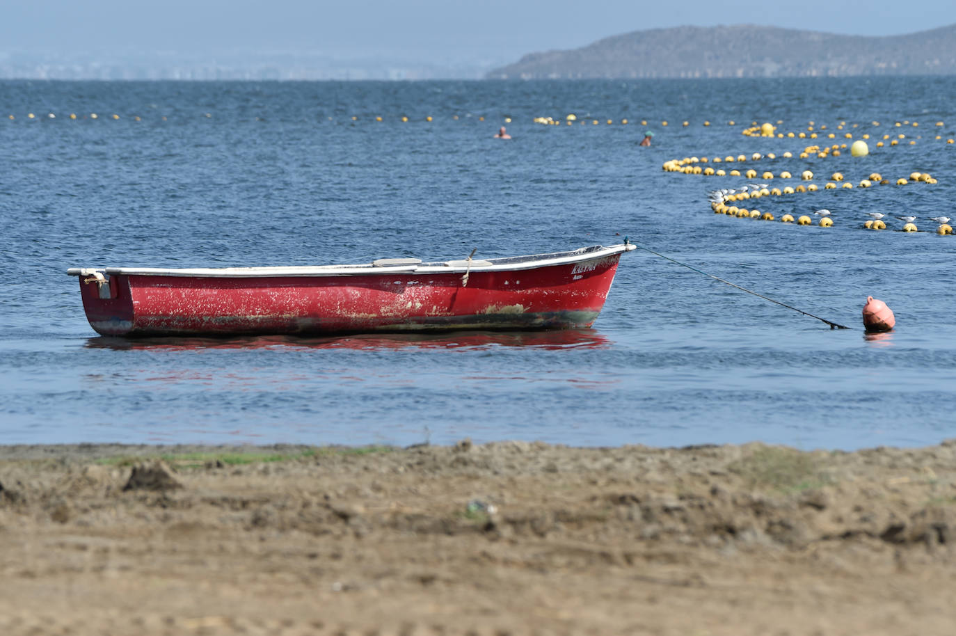 Fotos: Vecinos y turistas, «de luto» por la crisis del Mar Menor