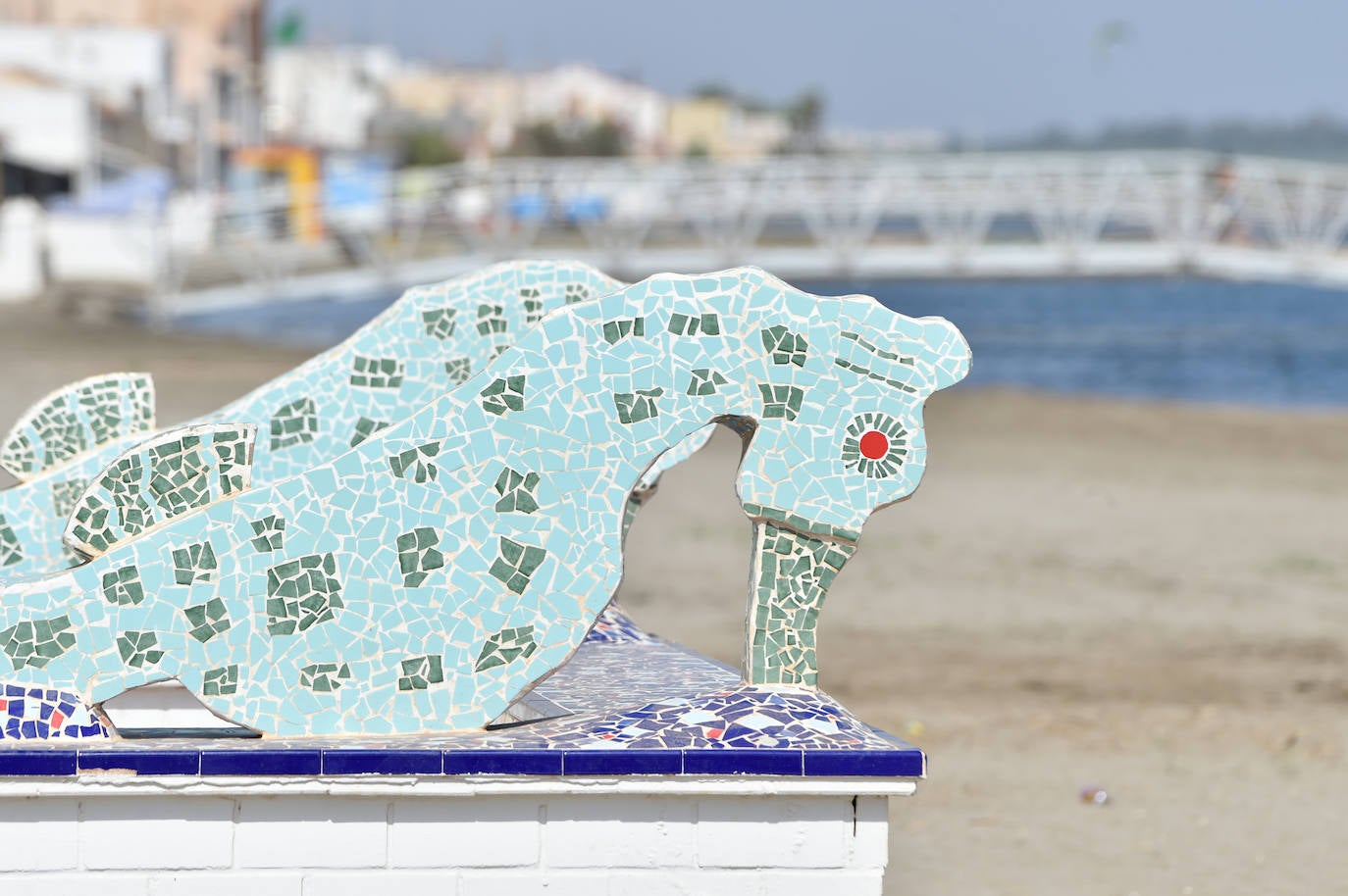 Fotos: Vecinos y turistas, «de luto» por la crisis del Mar Menor