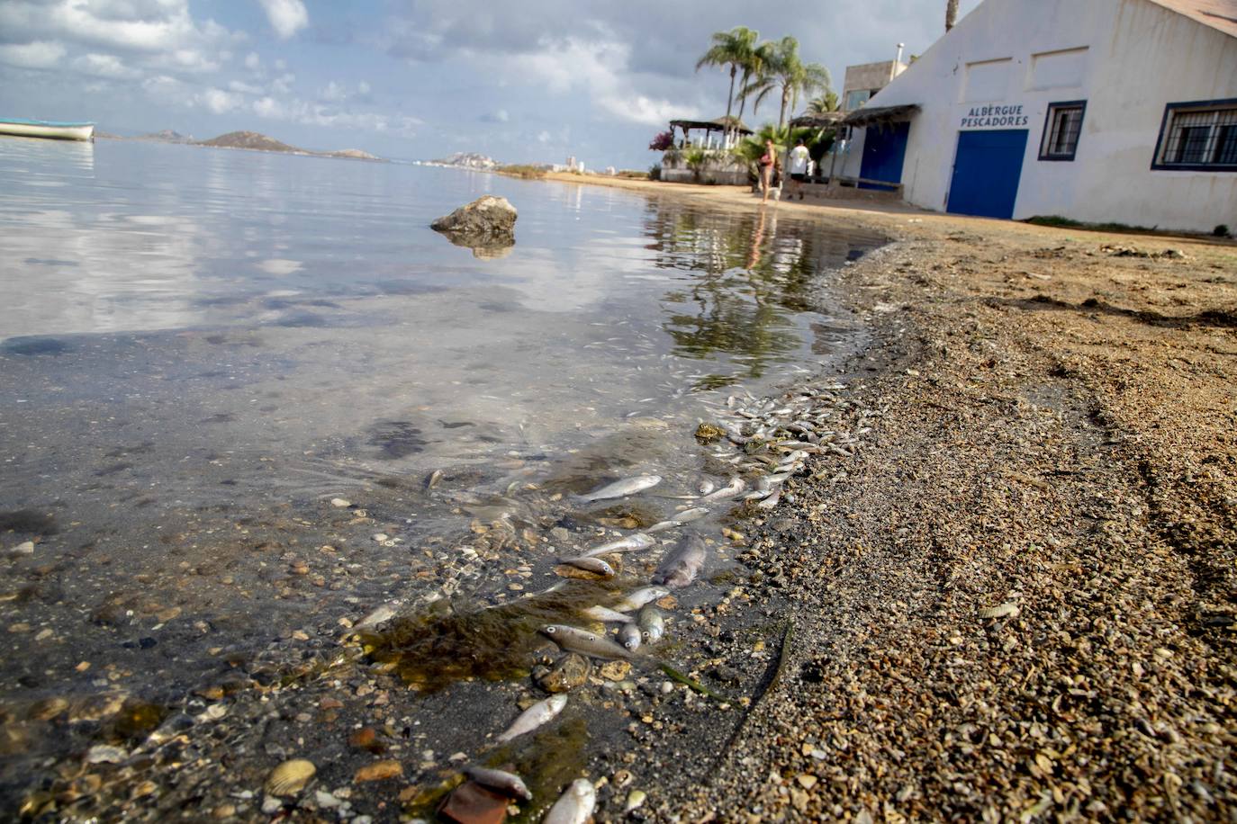 Fotos: Nueva protesta reivindicativa por el «ecocidio» del Mar Menor