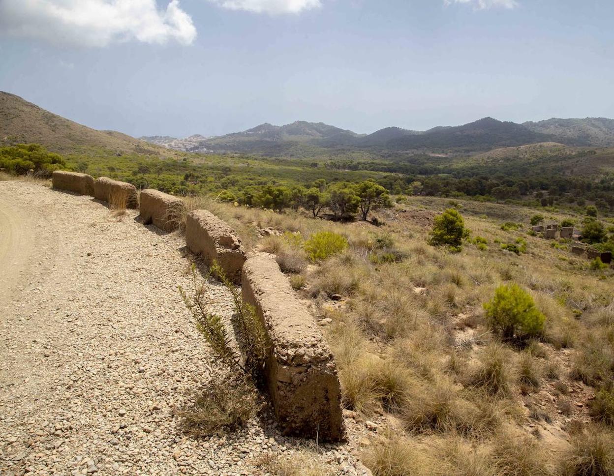 Vista de la zona de Calblanque incendiada en 2011, junto a la carretera de Portmán a Los Belones. 