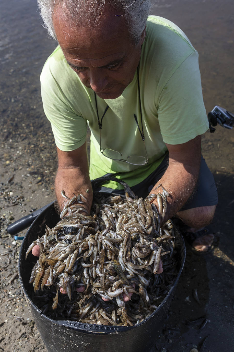 Fotos: Hallan por quinto día consecutivo peces muertos en varias playas de La Manga