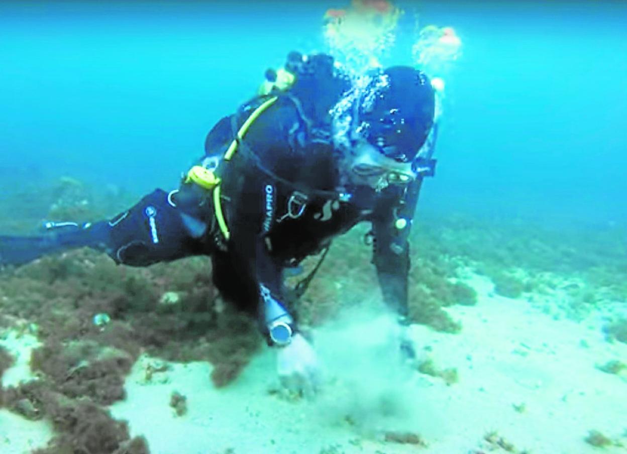 Un buzo, durante una inmersión en aguas de Cartagena para diseñar el proyecto ambiental del Puerto. 