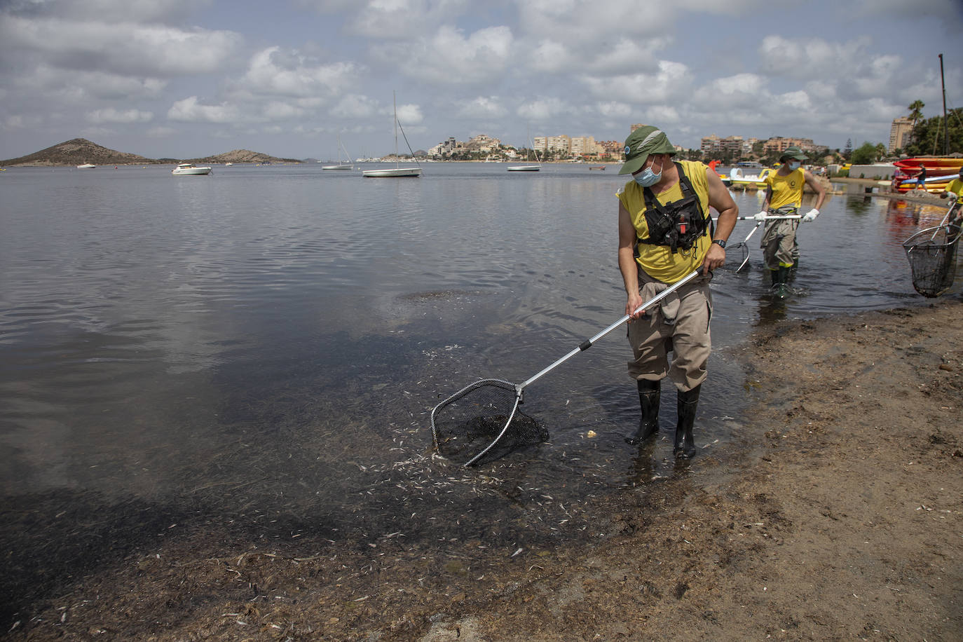 Fotos: Cierran de nuevo las playas cartageneras de La Manga por la aparición de más peces muertos por sexto día en el Mar Menor