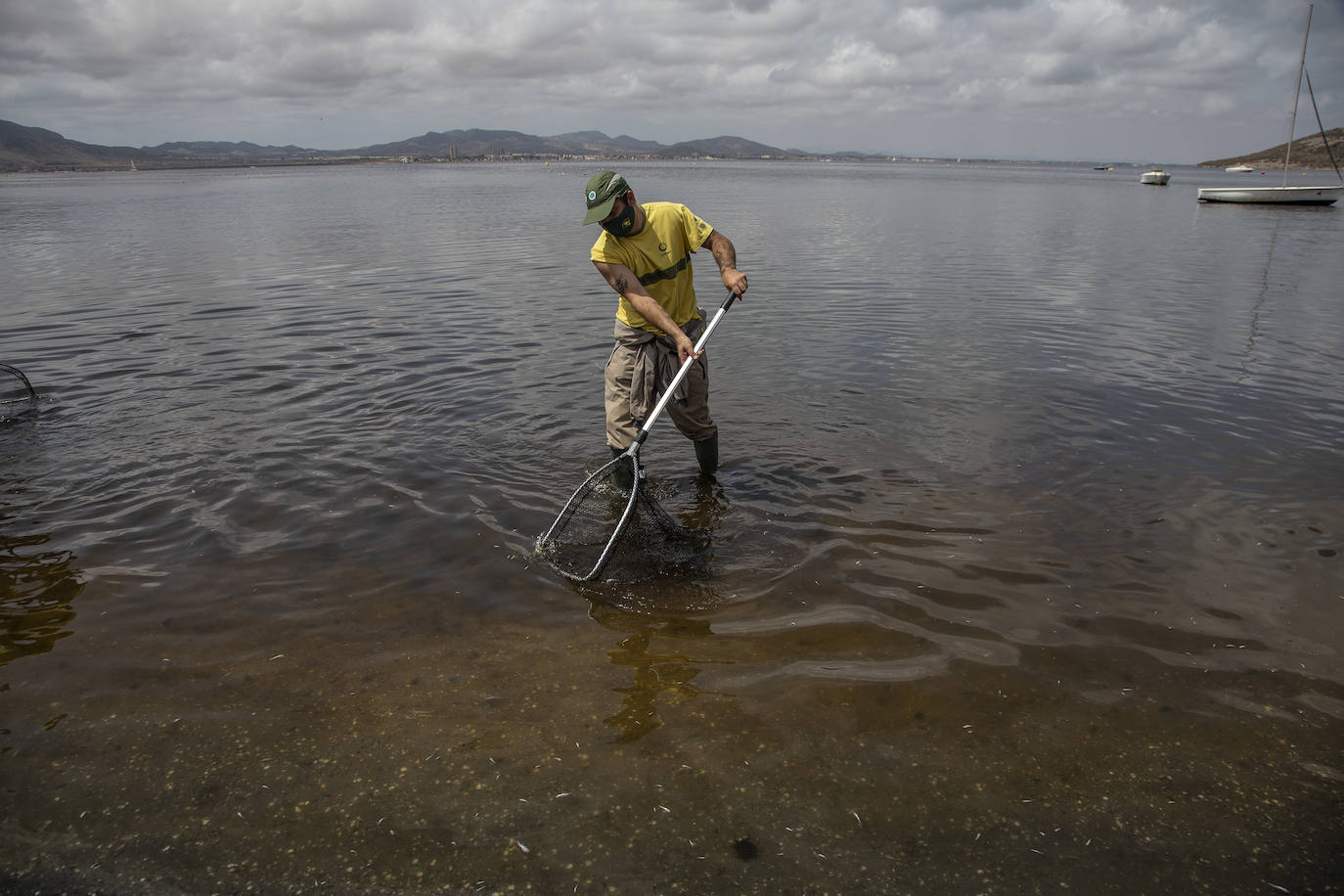 Fotos: Cierran de nuevo las playas cartageneras de La Manga por la aparición de más peces muertos por sexto día en el Mar Menor