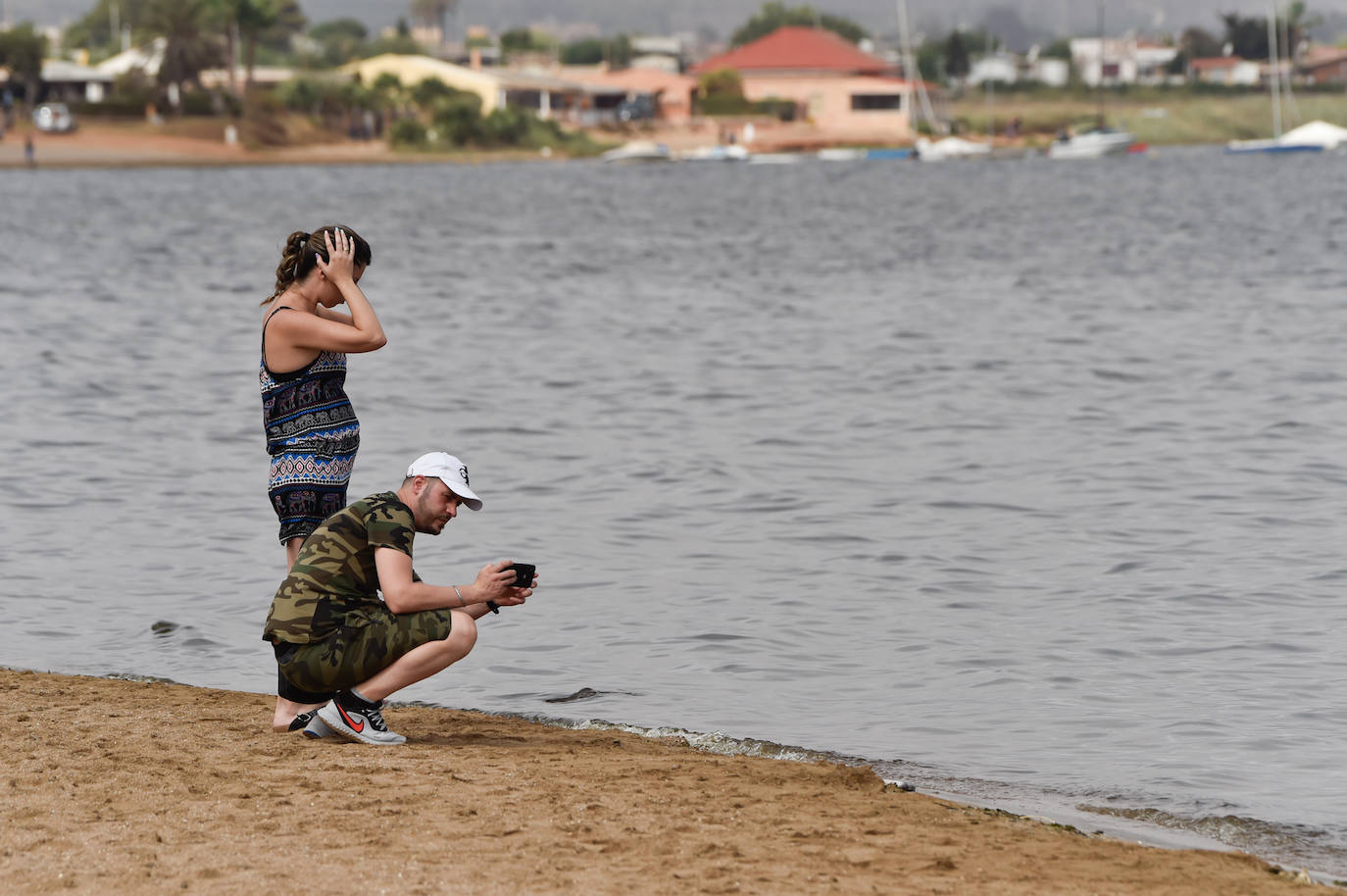 Fotos: Nuevo cierre de playas al cumplirse una semana con peces muertos en el Mar Menor