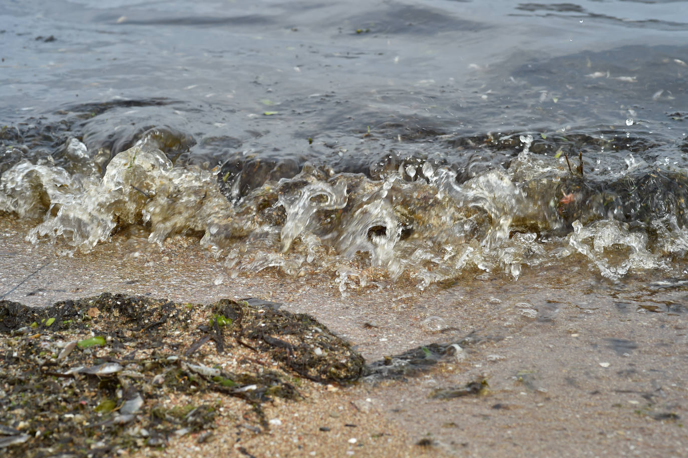 Fotos: Nuevo cierre de playas al cumplirse una semana con peces muertos en el Mar Menor